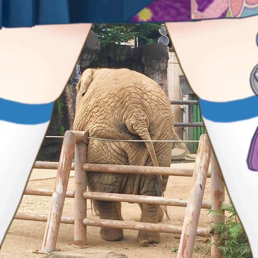 富士葵さんのインスタグラム写真 - (富士葵Instagram)「🗻🍑 📍 多摩動物公園/東京都日野市 みんな誰のおしりだかわかる〜？🤣 . . . #富士葵 #fujiaoi #fujiaoi_official #富士もも#ふとももフレーム#富士山#多摩動物公園#zoo#tokyo #🇯🇵#otaku#youtuber#youtube#バーチャルyoutuber  #VTuber#Aoich#idol#japanese#game#kawaii#kawaiigirl#kawaiianime #kawaiidesu #kawaii_anime #アニメ #日本 #声優 #二次元 #萌」10月11日 10時58分 - fujiaoi_official