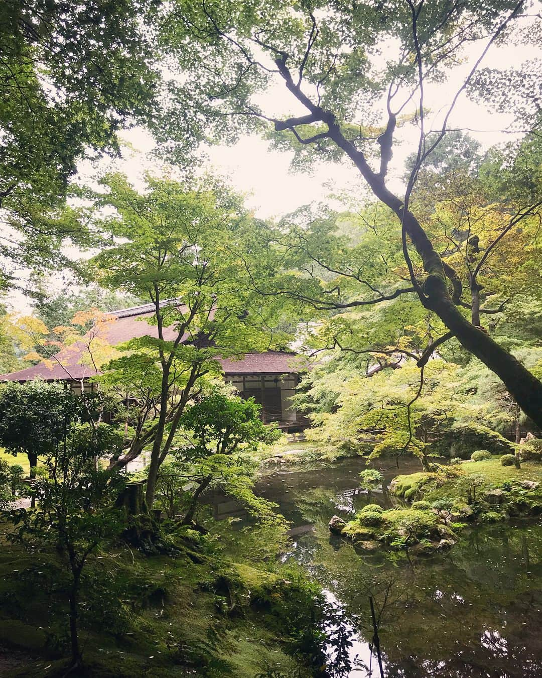 渡辺舞さんのインスタグラム写真 - (渡辺舞Instagram)「神聖な空気と厳かな雰囲気を感じたくて、京都にある南禅寺に行ってきました🙏 紅葉🍁はまだ早すぎたけど、十分に美しいお庭✨喧騒から離れてひとり気ままに風情ある京都を歩く時間も、特別で贅沢な時間でした☺️ #京都#南禅寺」10月11日 18時00分 - maipu0125