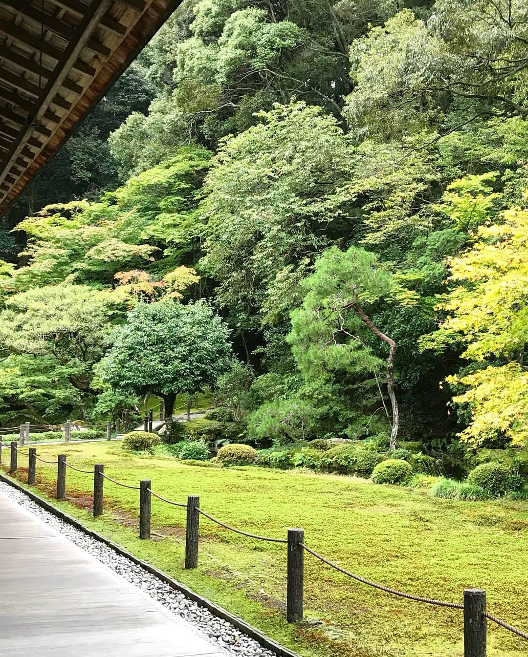 渡辺舞さんのインスタグラム写真 - (渡辺舞Instagram)「神聖な空気と厳かな雰囲気を感じたくて、京都にある南禅寺に行ってきました🙏 紅葉🍁はまだ早すぎたけど、十分に美しいお庭✨喧騒から離れてひとり気ままに風情ある京都を歩く時間も、特別で贅沢な時間でした☺️ #京都#南禅寺」10月11日 18時00分 - maipu0125
