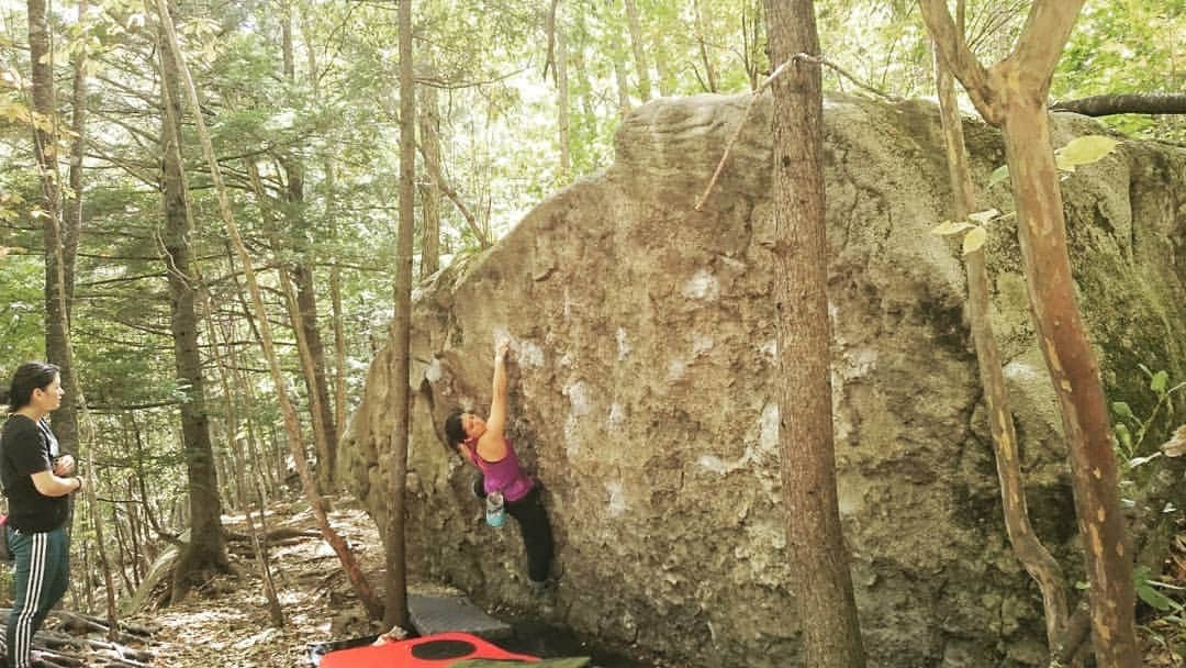 松島由希のインスタグラム：「再び小川山！  やはり平日最高です✨渋滞もないし、岩場も空いてて快適でした！  前回より岩もカリっとしててフリクションgood!! 紅葉も少し進んで木々も鮮やかに。  名もなき課題でアップしつつ、  フィロソフィー 哲学岩のすぐ上の岩の3級  回収。  あとは石楠花でいろいろ触ったけど、左手の調子が悪くいろいろ敗退。  スローパー弱すぎて手首がぷらぷらですわ。  ケルンの達人が数点作品を残してました、笑 どんぐりまで立ててた、笑  帰りは何年ぶりかのふじもと！美味しすぎてペロりでした☺️ #小川山 #クライミング #ボルダリング #フィロソフィー #哲学岩 #名もなき易しい課題が意外と面白い件 #苔むしたスラブとかスリリング #stonebum #boulderpants  #ケルン #積み石 #ふじもと #焼き肉定食」