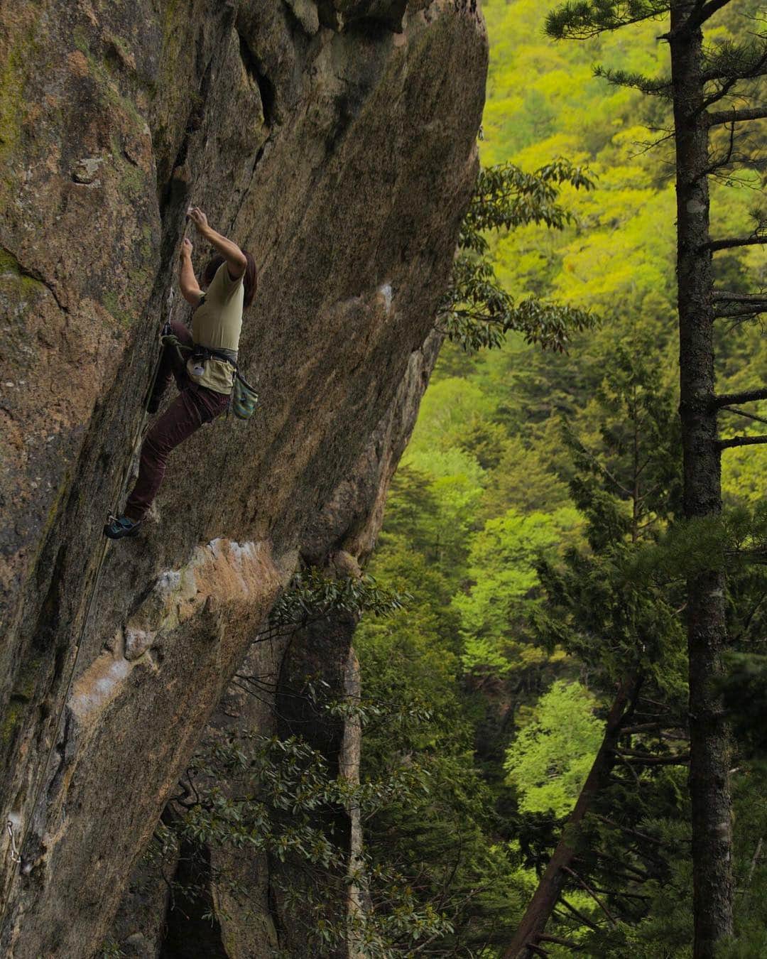 植田夢月のグルメインスタ