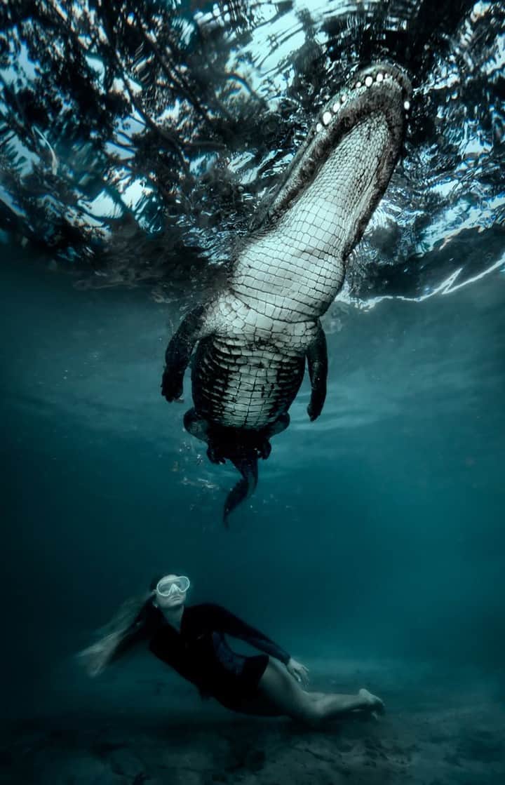 サシャ・カリスのインスタグラム