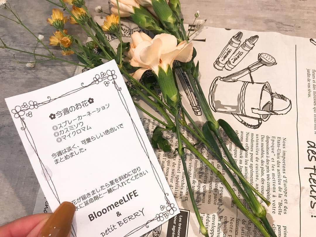 疋田星奈さんのインスタグラム写真 - (疋田星奈Instagram)「. お家に小さなお花を♡ 週末にポスト📮 に届くおしゃれなお花🌸 買いに行く手間もなく、ワンコインのお手軽な#bloomelife 💕 お花があると部屋が可愛く明るくなるね✨ . 最初はどんなふうに生花が届くのだろう？と思ってたけどポストにスポっとささってた🌸🍃 私もお花が欲しくなる大人になった🤭🤭🤭 . BLOOMEE LIFEに登録してこのクーポンコードを使うと初回が無料に💕 クーポンコード：95ZXLR ※有効期限2019年1月31日★ . . ちなみに10月17日～沖縄の配送も始まったみたい✨ . . #bloomeelife #お花 #お花のある暮らし #可愛いお花 #おしゃれな部屋」11月10日 10時16分 - seina.91