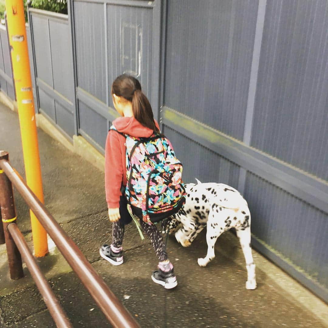 高岡早紀 さんのインスタグラム写真 - (高岡早紀 Instagram)「おはよー 東京は雨降るらしいけど、楽しく過ごしましょ〜 良い一日を…」11月6日 8時10分 - saki_takaoka