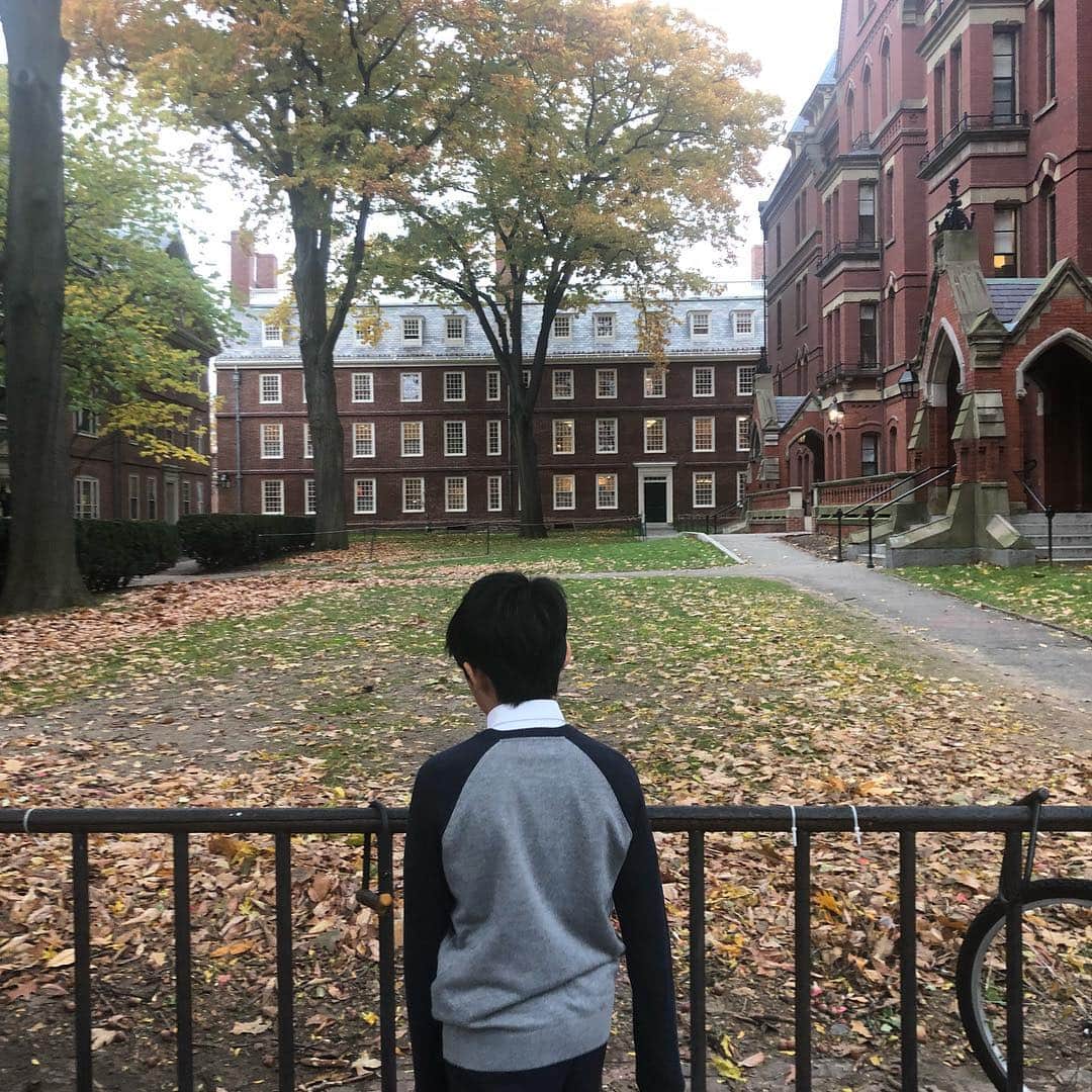高嶋ちさ子さんのインスタグラム写真 - (高嶋ちさ子Instagram)「世界中から秀才が集まる街ボストンに来ました。 何か感じるものがあってくれ！と言う親の期待虚しくハーバードにて「寒い」の一言のみ。 それより、日本と違う紅葉の色が珍しいのか、やたら赤い木を見つけては喜んでいます。確かにこれでもかって言うほど赤い。」11月6日 10時52分 - chisakotakashima