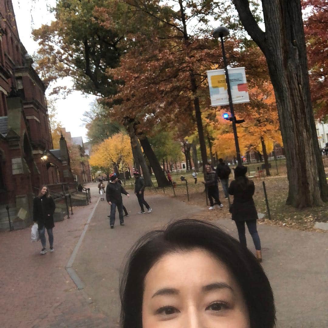 高嶋ちさ子さんのインスタグラム写真 - (高嶋ちさ子Instagram)「世界中から秀才が集まる街ボストンに来ました。 何か感じるものがあってくれ！と言う親の期待虚しくハーバードにて「寒い」の一言のみ。 それより、日本と違う紅葉の色が珍しいのか、やたら赤い木を見つけては喜んでいます。確かにこれでもかって言うほど赤い。」11月6日 10時52分 - chisakotakashima