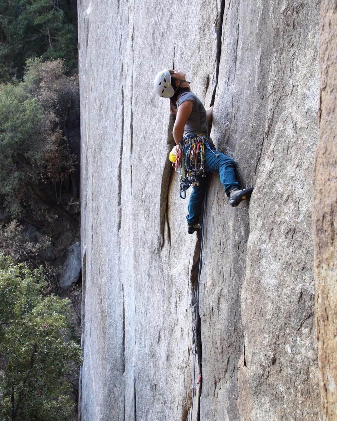 植田夢月のインスタグラム：「・ Outer Limits / 5.10c (b?) 📸 by @hagi_satoru ・ At the begining, face-like moves and off-finger crack. From the middle, long long hand crack. Classic! At on-sight try, I tend to bring more gears than I need…😅 ・ ・ #このときはハンドジャムできたのに #yosemiteclimbing #yosemitenationalpark #cookiecliff #yosemite #yosemitevalley」