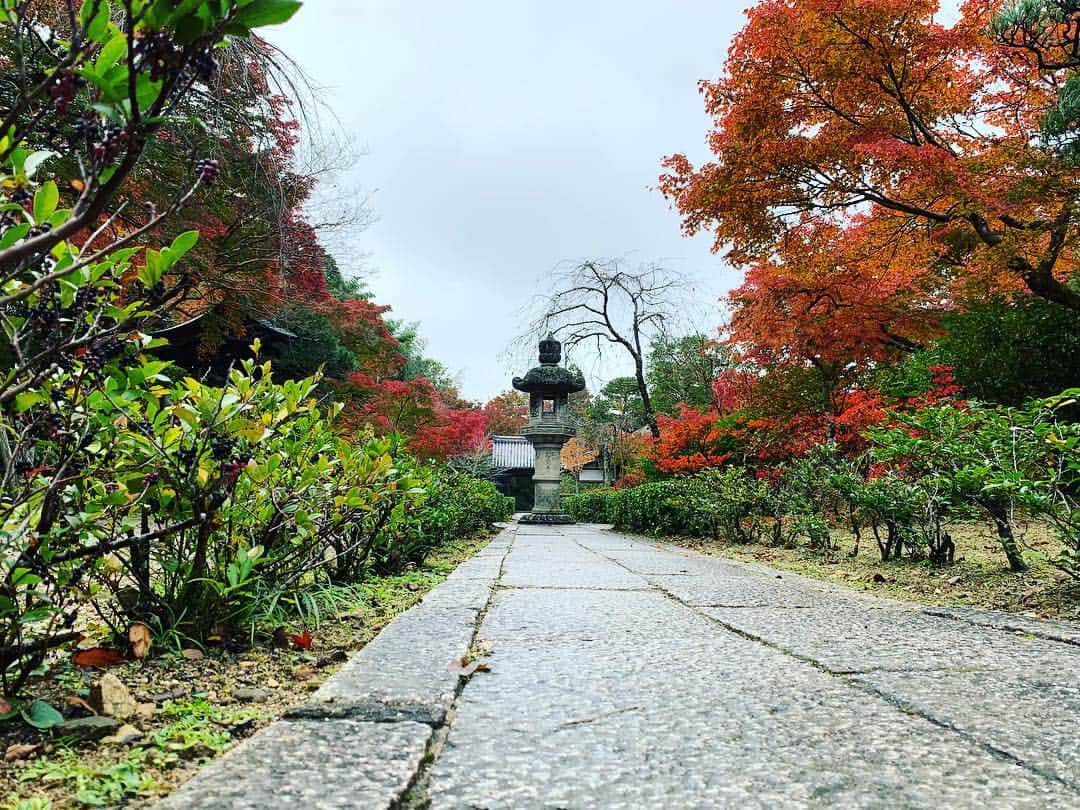 instameetuposakaのインスタグラム：「#河内長野市 #河内長野 #延命寺  #紅葉 #ちょっと早い  #紅葉狩り #奥河内」