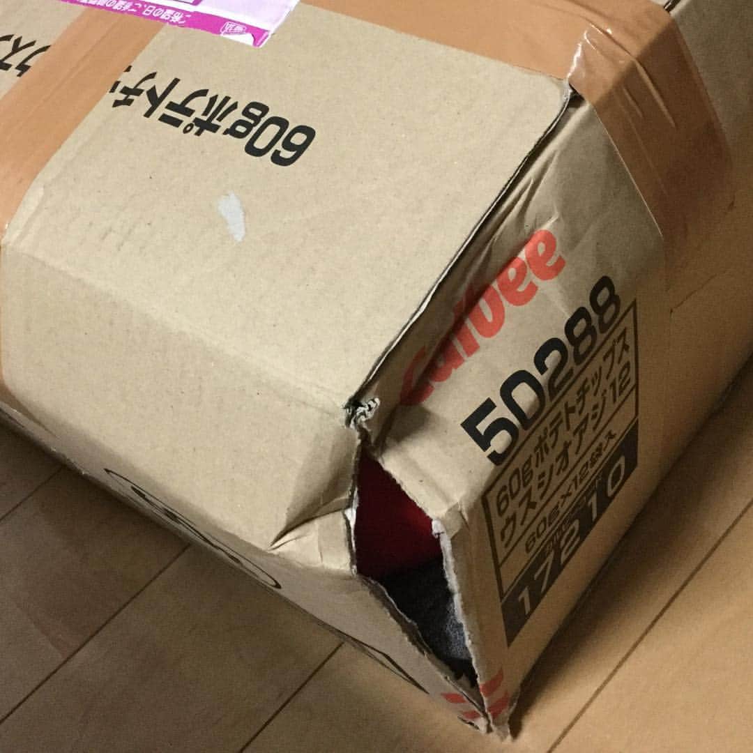なだぎ武さんのインスタグラム写真 - (なだぎ武Instagram)「今届いた荷物の箱、完全に破れてるよな、、、、 潰れてるよ、、ね😓 落とされた？、、、」11月6日 12時00分 - nadagigigi