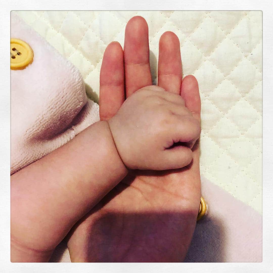 芳賀優里亜さんのインスタグラム写真 - (芳賀優里亜Instagram)「ギュっと握りしめた彼女の掌の中には沢山の夢と希望とそして、ホコリが詰まっている。。。 #赤ちゃんあるある #手のひら#ホコリ#埃#いつの間に#赤ちゃんのいる生活#芳賀優里亜」11月6日 16時47分 - yuria_haga
