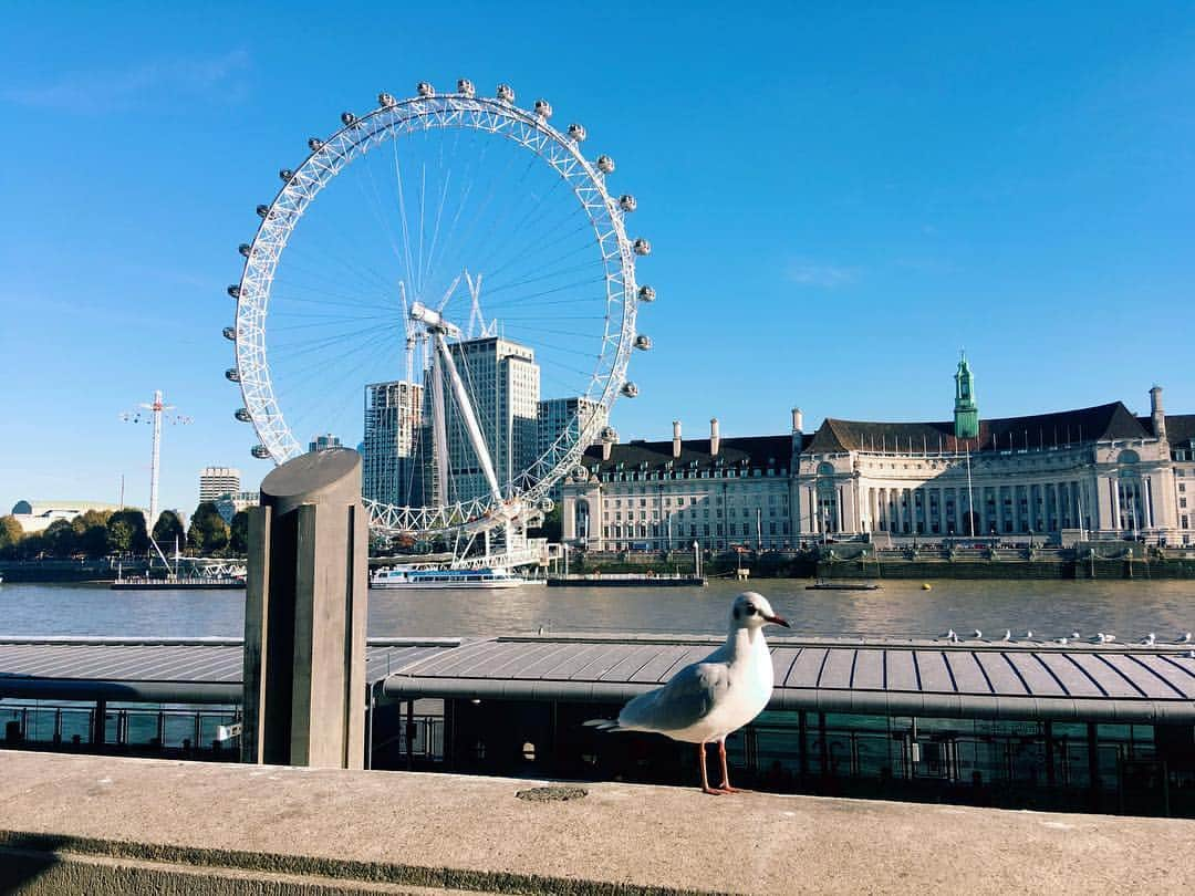 上白石萌音さんのインスタグラム写真 - (上白石萌音Instagram)「イギリスに行っていました。 初めての海外ひとり旅は、沢山の人にお世話になって全然一人じゃなかった。感謝、感謝です。 舞台をいっぱい観ました。毎度打ちのめされた。凄かった。 幸せな余韻とともに、時差ボケに逆らいぐっすり眠りたい夜です。あーたのしかった、またゆっくり話します☺︎」11月6日 20時29分 - mone_kamishiraishi