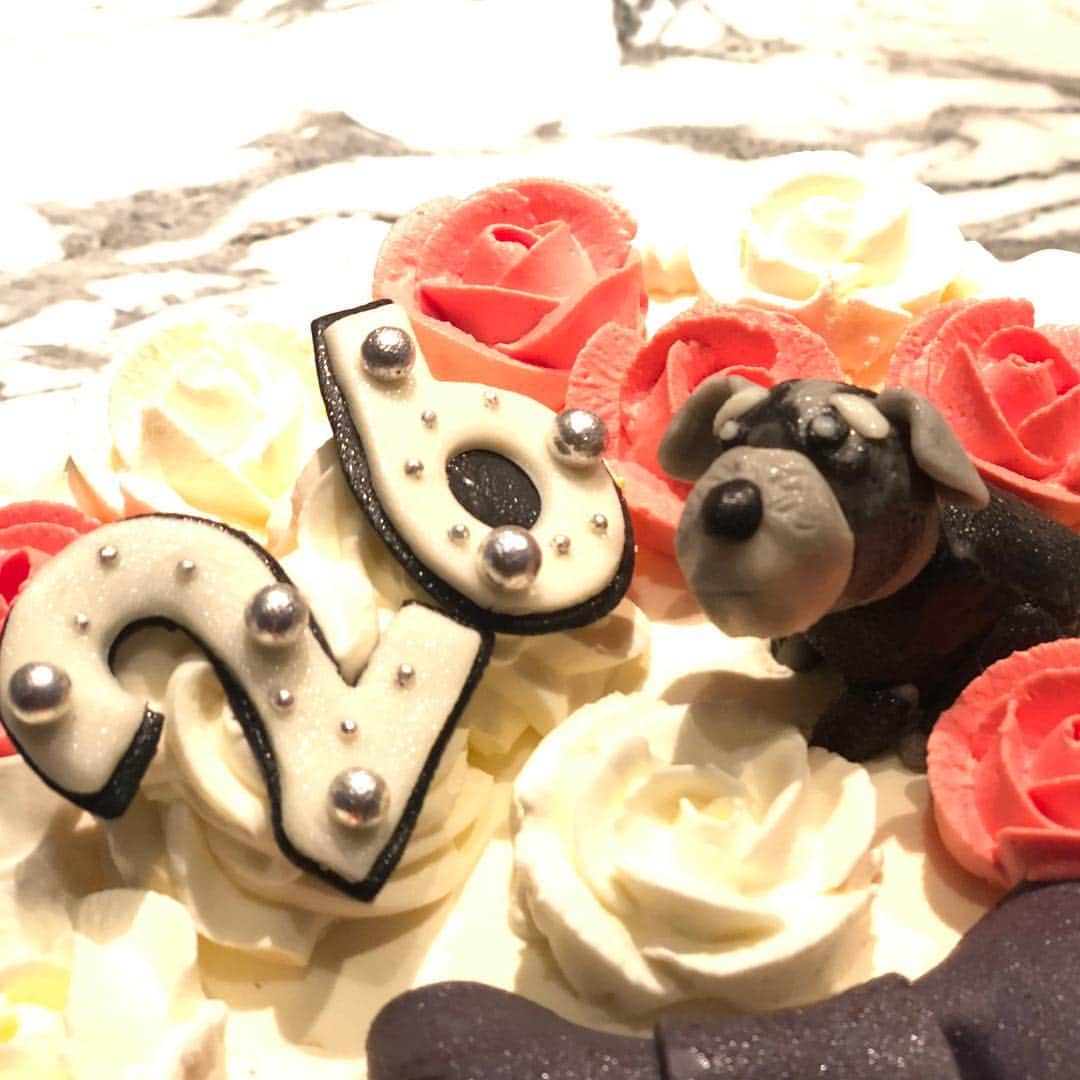 園都さんのインスタグラム写真 - (園都Instagram)「. 大好きなお友達が祝ってくれました💖 愛犬と私とグラマーなバストがのってる巨乳ケーキ🍰 素晴らしい〜🤣💕今年も幸せな1日になりました！ サプライズありがとう〜！ #26歳になりました #皆さんこれからもよろしく」11月6日 20時36分 - miyakosono_official