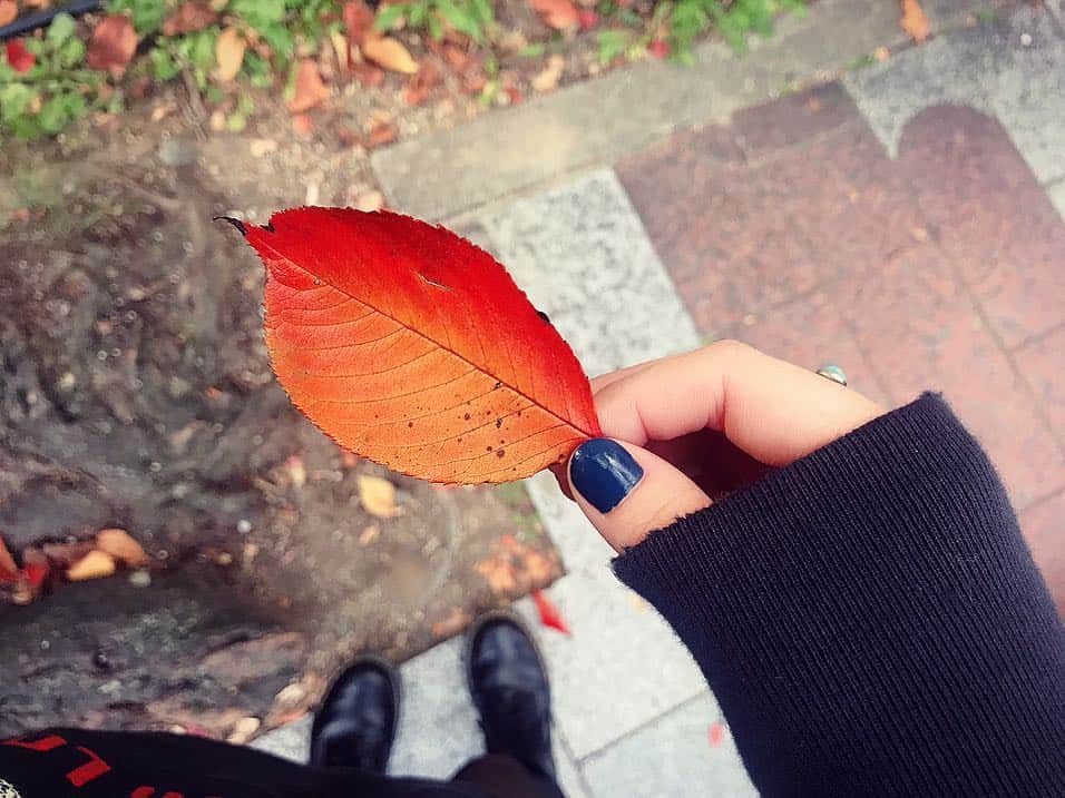 山本真凜のインスタグラム：「この前の京都⛩🍁🍂 お漬物めっちゃ綺麗。PABLOの宇治抹茶チーズタルトも中に栗とわらび餅入ってて美味しかった😯 これから秋も深まるし紅葉も見に行きたいな☺️ #kyoto #japan #pablo #leaves #pickles #matcha #kabuki #cheesetart #京都四条南座 #京都 #紅葉 #抹茶」