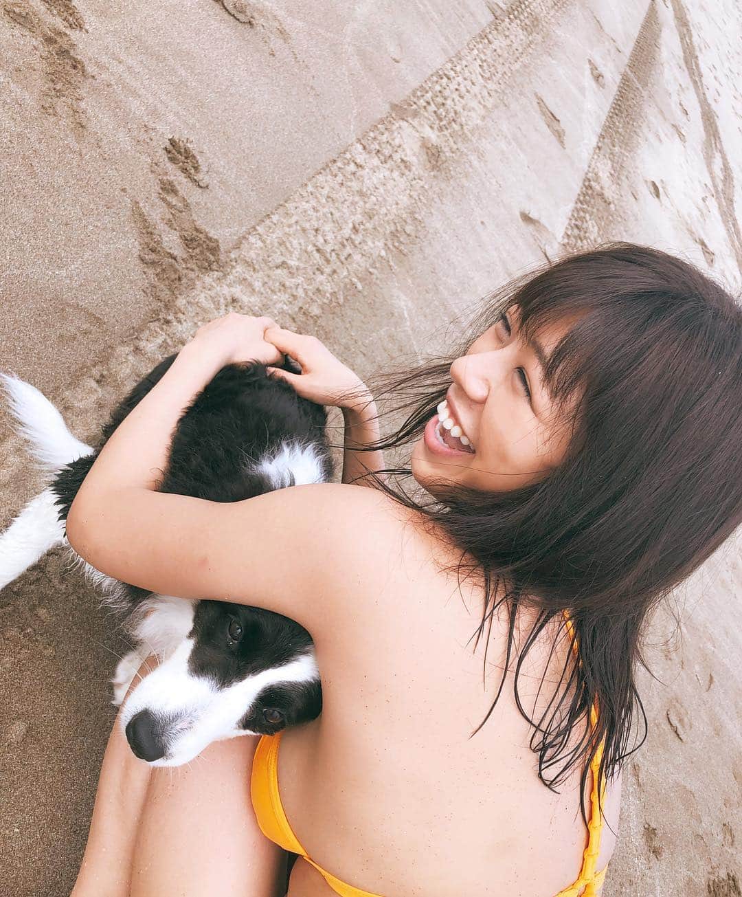 わちみなみのインスタグラム：「カレンダーのオフショット⭐️﻿ ﻿ イベントもぜひきてね。✨﻿ ﻿ 台湾のわんちゃん。ぽーりんちゃん。﻿ ﻿ めっちゃ人懐こくて、﻿ ﻿ ずっと追いかけてくれた笑笑💕😍﻿ ﻿ #わちみなみ﻿ #カレンダー﻿ #可爱 #犬﻿ #かわいい ﻿ #mybikini  #インスタグラビア  #泳衣 #女优 #日本女孩 #东京 #性感 #東京 #網紅 ﻿ ハッシュタグって最近なにが流行ってるんだろう」