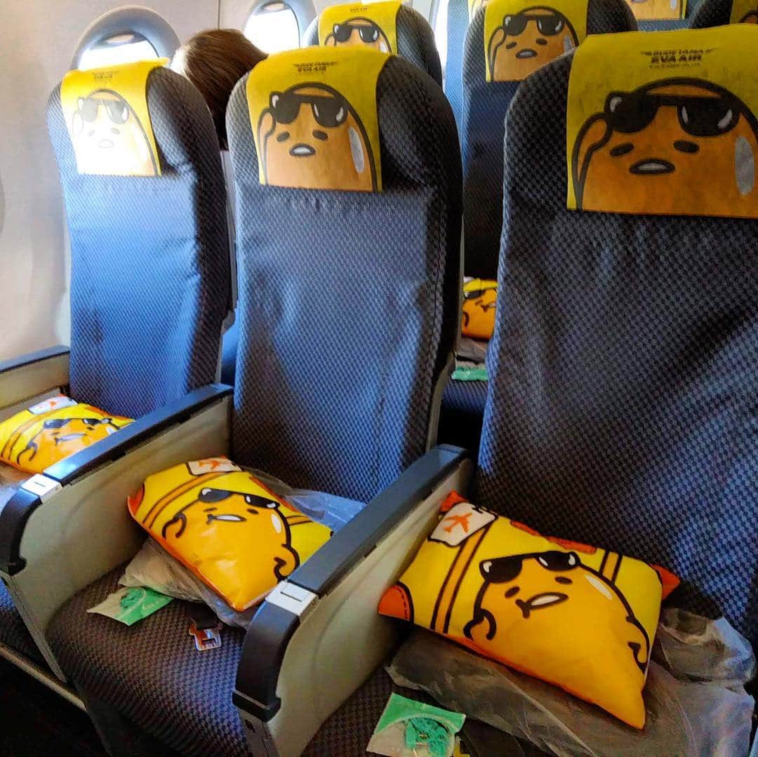 紫苑みやびさんのインスタグラム写真 - (紫苑みやびInstagram)「台北（桃園）→成田のエバー航空で、ぐでたまジェットに乗りました！機内食のカトラリーも黄色いぐでたまデザインでしたよ〜 . #ぐでたま #ぐでたまジェット #エバー航空 #台湾旅行 #travel #triples」11月7日 16時10分 - shion_miyabi