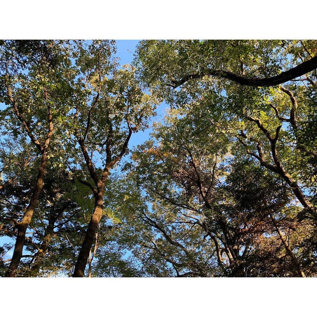 永島優美さんのインスタグラム写真 - (永島優美Instagram)「* 久しぶりの山登り🏔 とっても気持ちよかったです😆🍃 * 登ったあとのチーズタルトがおいしすぎました🧀♡ 紅葉の見頃はもう少しだったなぁ☺🍁 * #高尾山 #山頂で山ポーズ」11月7日 19時20分 - yuumi_nagashima