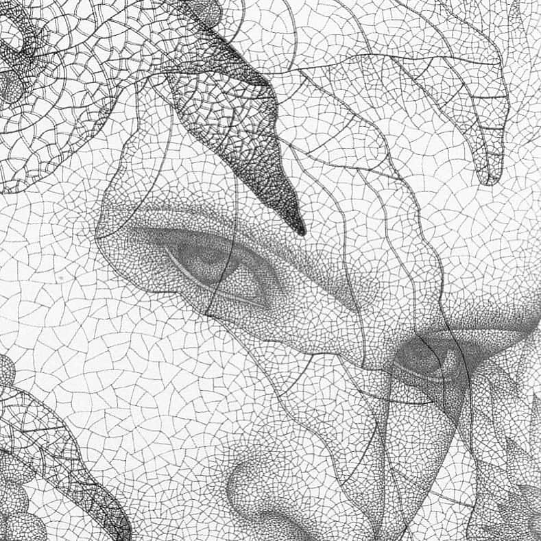 城景都のインスタグラム：「Title 【 チャーミーイメージ image 】1994 #veinsofaleaf #skeltonleaf  #pencildrawing #gouachepainting #contemporary #paper #print #80sartwork #drawing #watercolorpainting #japaneseart #minimalism #japonismes #allhandwork #keitojoh」