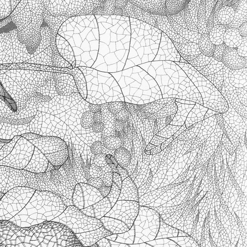城景都のインスタグラム：「Title 【 チャーミーイメージ image 】1994 #veinsofaleaf #skeltonleaf  #pencildrawing #gouachepainting #contemporary #paper #print #80sartwork #drawing #watercolorpainting #japaneseart #minimalism #japonismes #allhandwork #keitojoh」