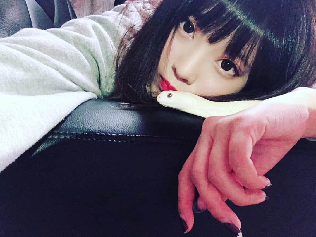 水無瀬ゆきさんのインスタグラム写真 - (水無瀬ゆきInstagram)「#有吉反省会 出演します。 みんな見てね☺︎ #白蛇 #テキサスラットスネーク」11月7日 23時54分 - yukishan_m