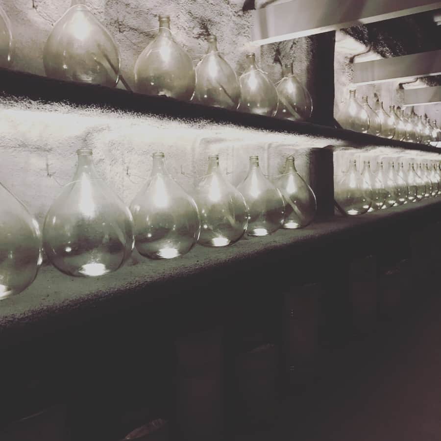 渡辺有子さんのインスタグラム写真 - (渡辺有子Instagram)「mitosaya botanical distillery 千葉の大多喜町にあるミトサヤ薬草園蒸留所へ。 蒸留所ができあがっていました。 これからどんな風になっていくのか楽しみ。また季節を通して訪ねたいなぁ。江口さん、祐布子ちゃん、みとさや、ありがとう！」11月8日 11時59分 - yukowatanabe520