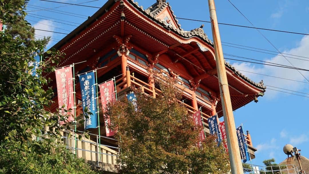 坂元美香さんのインスタグラム写真 - (坂元美香Instagram)「◀️スワイプ . 尾道 千光寺のご住職より 秋のお便りいただきました😌🍁🍂 . 千光寺からの絶景！すっごい癒されるー✨ そしてもう紅葉だ〜！ 自然ていいね！秋っていいね！日本っていいね！！ 本当このご縁に感謝です。 . そういえば千光寺は縁結びのお寺って言ってたな🤔 恋愛だけじゃなく仕事や人間関係、 時には家族間であったりと あらゆるいろんなご縁を結んで くださるって伺った気がする。 私自身、本当たくさんのご縁に助けられて ばかりの日々です。感謝🙏 尾道また行きたいな。 . @onomichi.senkouji 千光寺ご祈祷お守りアプリ絶賛リリース中 （ダウンロード無料） https://www.senkouji.jp/app/ . 坂元の会員ID : 32 ID教えていただければ縁起画像送ります😆 . #千光寺 #千光寺アプリ #千光寺ご祈祷お守りアプリ #千光寺お守りアプリ #尾道千光寺 #尾道 #尾道市 #広島 #尾道女子 #お寺好き #お寺好きな人と繋がりたい #尾道観光 #御朱印 #御朱印巡り#御朱印集め #japanesetemple #感謝 #ご祈祷 #縁起画 #紅葉 #秋 #もみじ #合掌🙏 #寺スタグラム #寺スタグラマー #坂元尾道の旅」11月8日 9時31分 - mika_saka