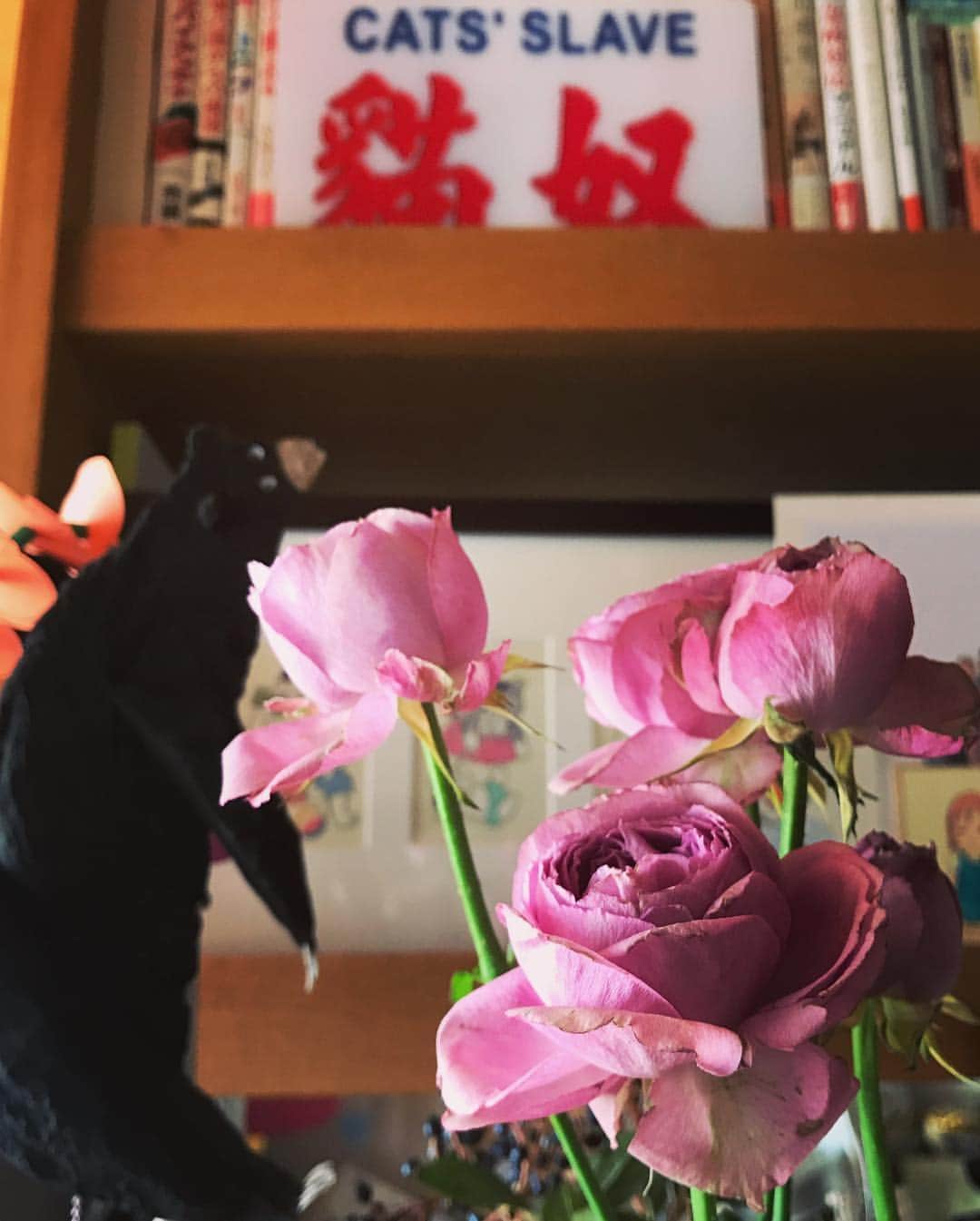 坂本美雨さんのインスタグラム写真 - (坂本美雨Instagram)「どれだけお花を飾ってもおしゃれにならない『猫奴 CATS’ SLAVE』のインパクト。 先週 @the.daffodils.flowershop で買ったローズ、長持ちだなぁ。 #猫の奴隷」11月8日 14時14分 - miu_sakamoto