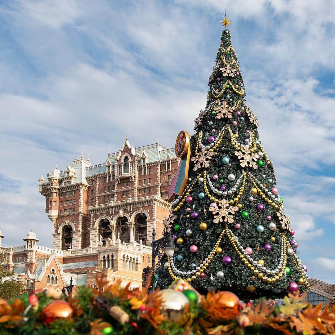 東京ディズニーリゾートのインスタグラム