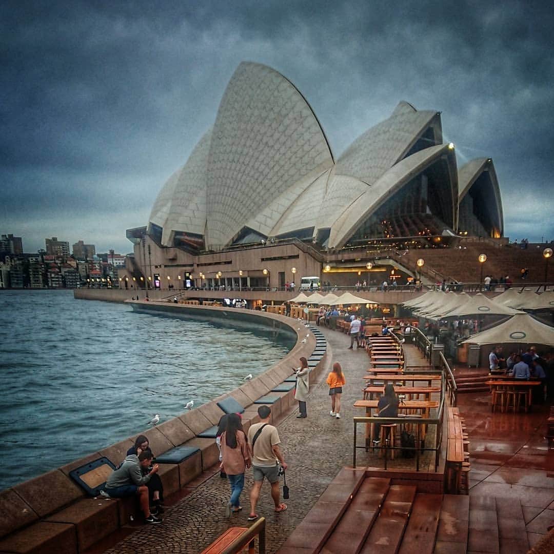 石黒浩さんのインスタグラム写真 - (石黒浩Instagram)「Sydney」11月8日 18時49分 - stone1936