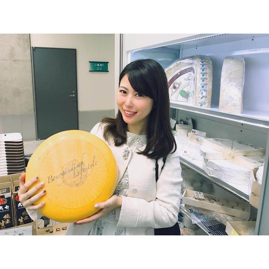 のインスタグラム：「. 【文化放送  斎藤一美ニュースワイドSAKIDORI】 . 豊洲市場がオープンして１ヵ月🙌 豊洲にチーズ市場があるってご存知でしたか？？ . 今回ラジオでご紹介したのは 豊洲のチーズ市場🧀 . 置いてあるチーズは100種類から150種類！ 日本はもちろん フランスやイタリア、オランダなど 約10ヵ国から輸入をしていて その時期に合った旬のものを おススメしてもらえます🙋‍♀️ . 店内に入った瞬間 珍しいチーズばかりで驚き！ しかもホールでこれだけの数が置いてあるのはなかなか見られない光景ですよね👀✨ . 1つチーズのホールを持たせて頂いたのですが びっくりするくらい重い！！約8キロ！！ 重いものだと12キロのものもありました... . この時期ぴったりなのは ゴーダドゥメというチーズだそうです👏 . 5月の無殺菌の牛乳だけを使って 作られているチーズ🧀 . 牛が新芽を食べ始める5月の牛乳は 1年で最もリッチで香り高いと 言われているんだそう🌱 . 味は濃厚でクリーミー🐄 本当に柔らかくてとろける舌ざわりです🤗 . そのままで食べるのも美味しいのですが トーストやグラタンにすると また風味が変わって楽しいとのことでした💡 . 皆さんも豊洲チーズ市場で 旬のチーズを頂いてみてはいかがでしょうか？？ . #東京#豊洲#豊洲市場#チーズ#市場#牛乳#グルメ#オススメ#ゴーダ#旬#ラジオ#文化放送#フリーアナウンサー#radio#cheese#food」