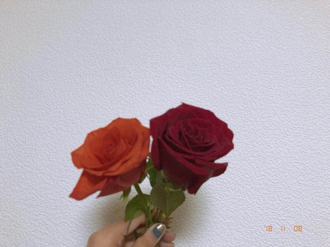 吉川愛さんのインスタグラム写真 - (吉川愛Instagram)「☺︎ 今回のお花。薔薇2本。 パキッとしたオレンジと、強い赤。 なんだかんだ毎回薔薇を買ってしまう。 薔薇好きなんだな。🥀」11月8日 19時05分 - ai_yoshikawa_official