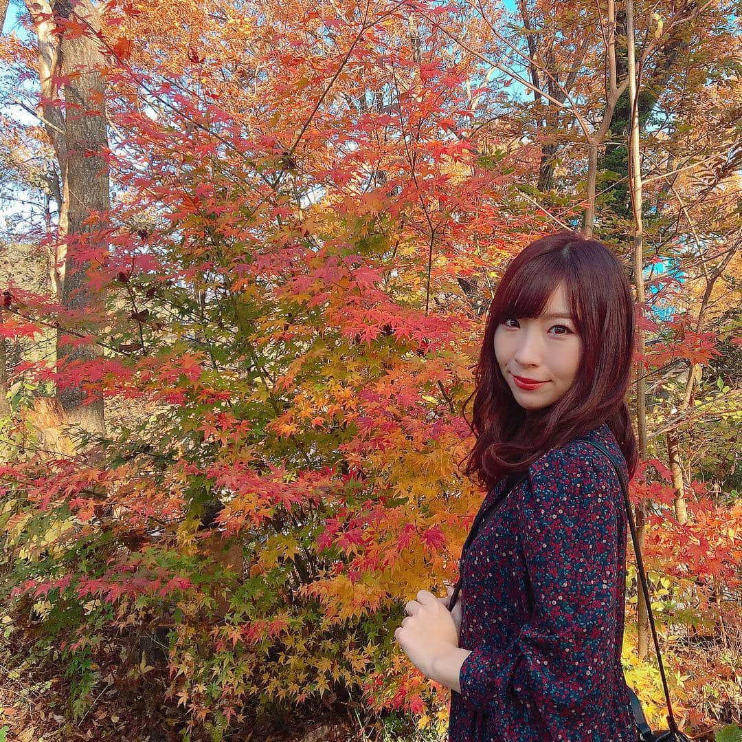 岩佐美咲さんのインスタグラム写真 - (岩佐美咲Instagram)「紅葉狩り  #山梨 #河口湖 #紅葉 #紅葉狩り #自然 #秋 #日帰り旅行 #japan」11月8日 20時51分 - wasaminnn