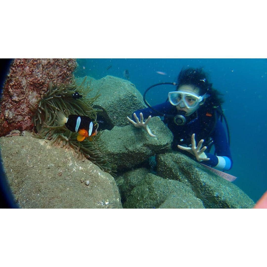 VANRIさんのインスタグラム写真 - (VANRIInstagram)「🐠 . I practiced scuba diving in Izu. . メキシコロケに行く前に久しぶりのダイビングだったので 伊豆の海で練習をして行きました。 日本の海もとても素敵です。 海に潜ると一気に人間の世界から魚たちの世界にワープします。 クラブパイレーツ東京店のワタナベさん お世話になりました♪(photo by, ワタナベさん) . #scubadiving #izu #スキューバダイビング #伊豆 #海 #ニモいたよ #クマノミ」11月9日 16時11分 - vanri0121