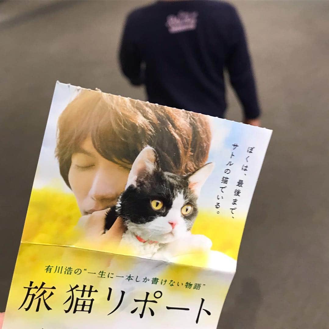佐野優子さんのインスタグラム写真 - (佐野優子Instagram)「. 旅猫リポート🐈 きっと泣きます😭 . よーじやのあぶらとり紙も出演してます^ ^ . snow.動物には反応しないけど、よじこには反応します🤭 . #旅猫リポート #映画 #よーじや #あぶらとり紙 #よじこ」11月9日 9時28分 - yuko12345
