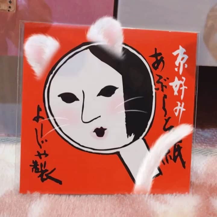 佐野優子のインスタグラム