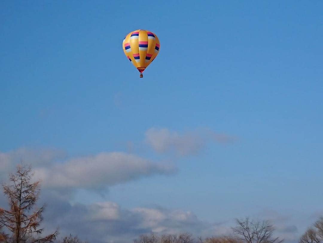 黛英里佳さんのインスタグラム写真 - (黛英里佳Instagram)「今回は気球にも乗りましたー😄 お天気が良くてよかった😆☀️ 私は少しびびってましたが妹たちはノリノリでした😂 #気球から見た北海道は #本当に本当に #息を飲む美しさ #気球 #北海道 #ミルクランド北海道」11月9日 17時30分 - erikamayuzumi_official