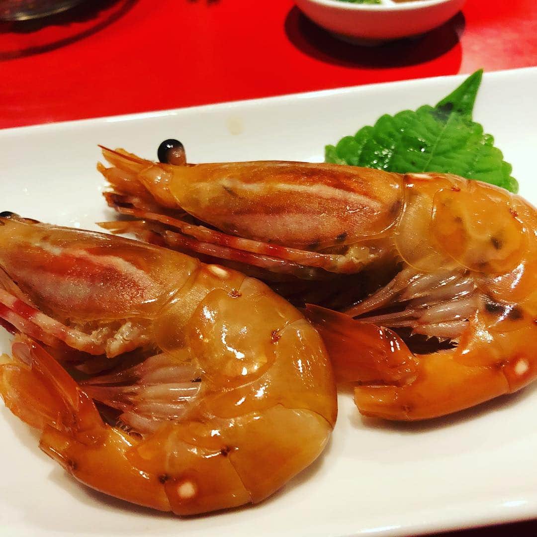 佐伯紅緒のインスタグラム