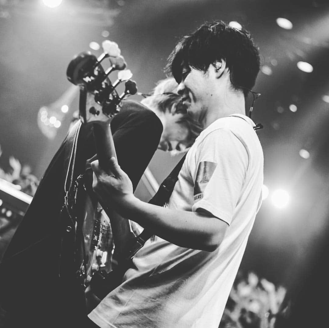 楢崎誠のインスタグラム：「photo by @nekoze_photo」