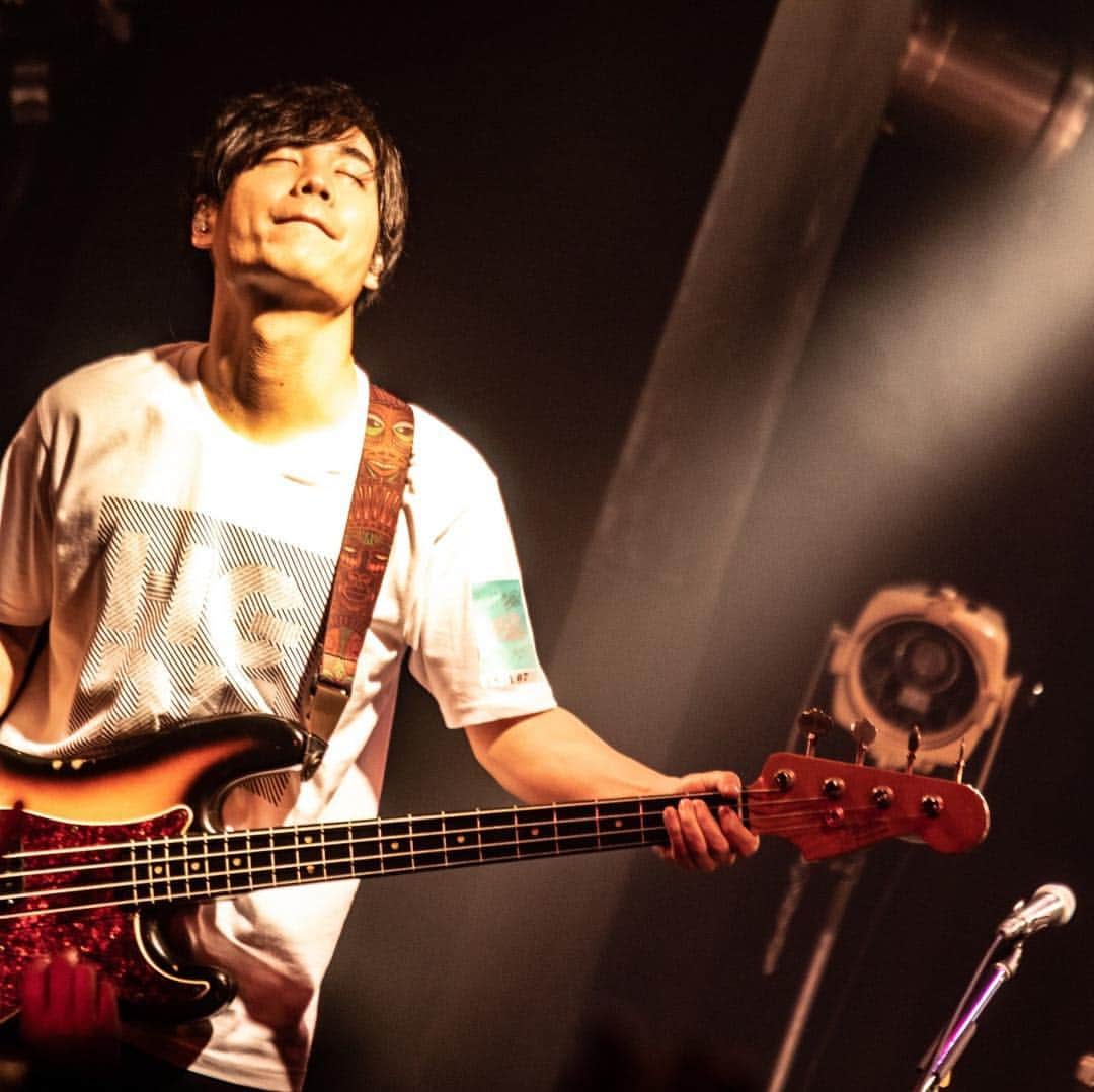 楢崎誠のインスタグラム：「photo by @nekoze_photo」