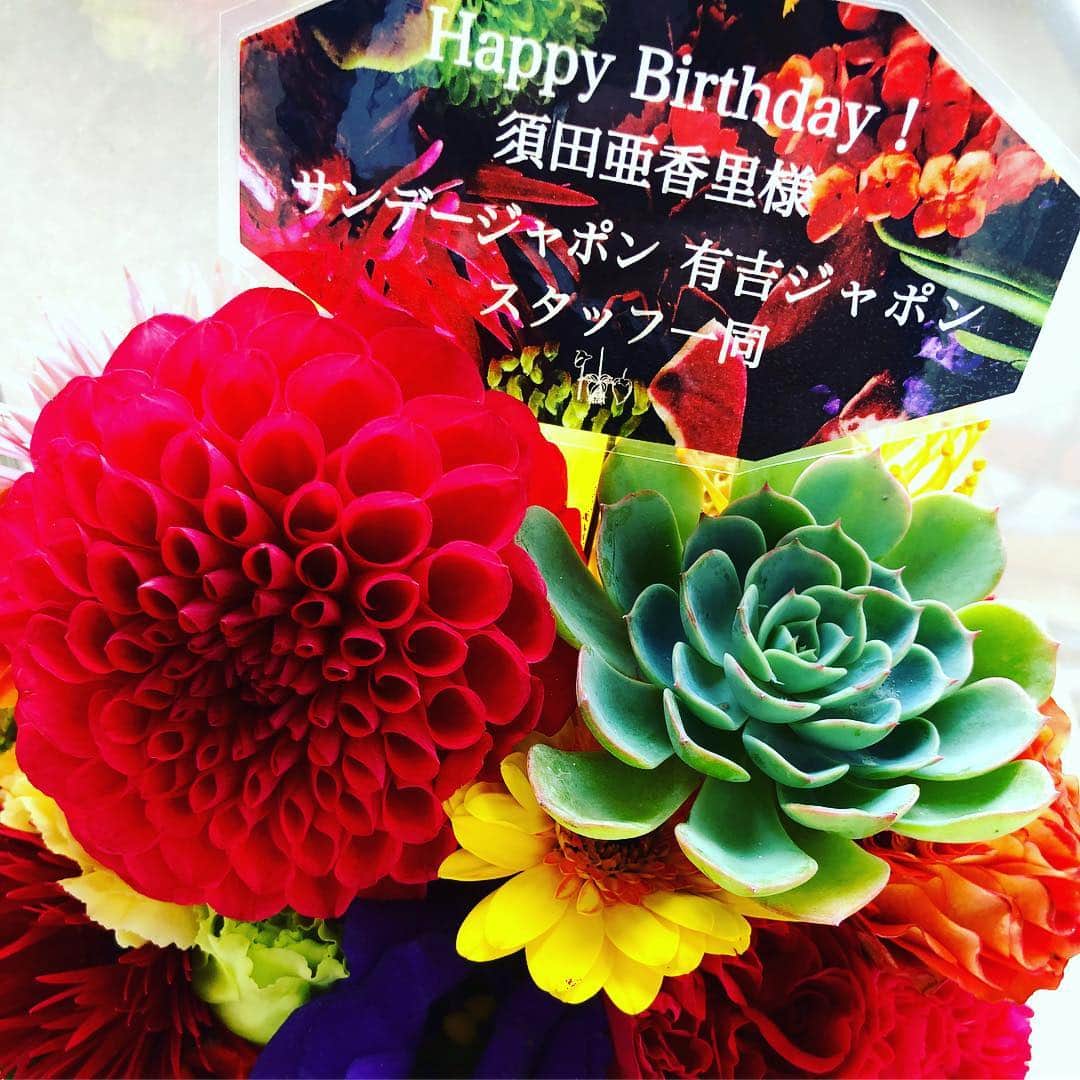 須田亜香里さんのインスタグラム写真 - (須田亜香里Instagram)「おしゃれなお花をいただきました！ サボテンちゃんはずっと残るんだって✨  #サンデージャポン #サンジャポ #サボテン」11月10日 1時21分 - akarisuda