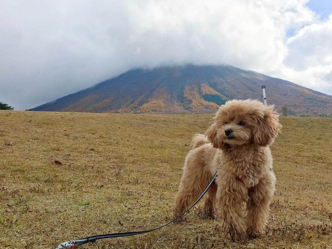 Karunaさんのインスタグラム写真 - (KarunaInstagram)「⛰ 〜 登山家 薮田麦 大山への挑戦 〜 #プロフェッショナル仕事の流儀 #撮りながらProgress歌ってたわ #貫禄 #滲み出る大御所感 #登山家 #大山 #鳥取 #おてんば娘麦ちゃん」11月9日 17時46分 - karuna0520