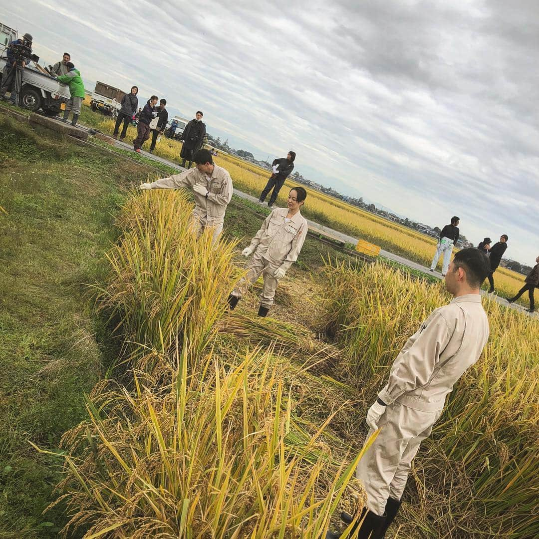 TBS「下町ロケット」さんのインスタグラム写真 - (TBS「下町ロケット」Instagram)「‪🚜5話放送まで、あと2日🚜‬ ‪3話で佃さん、伊丹さんが泥だらけになりながら田植えした稲を、今回刈り取ります🌾‬ ‪物語とともに稲も成長です☀️‬ ‪稲刈りには迫田さんも参加👨🏻‍🔧‬ ‪ほかにもなんといつもスーツのあの人が…⁉️‬ #稲刈りなかなか爽快でした #鍬を持つと人が変わる立花 #笑うアキとふざける迫田さん #殿さんも笑うしかない🙂 ‪#竹内涼真 #立川談春‬ ‪#今野浩喜 #朝倉あき‬ ‪#第5話ゴースト編完結‬ ‪#下町ロケット #tbs‬」11月9日 18時46分 - rocket_tbs