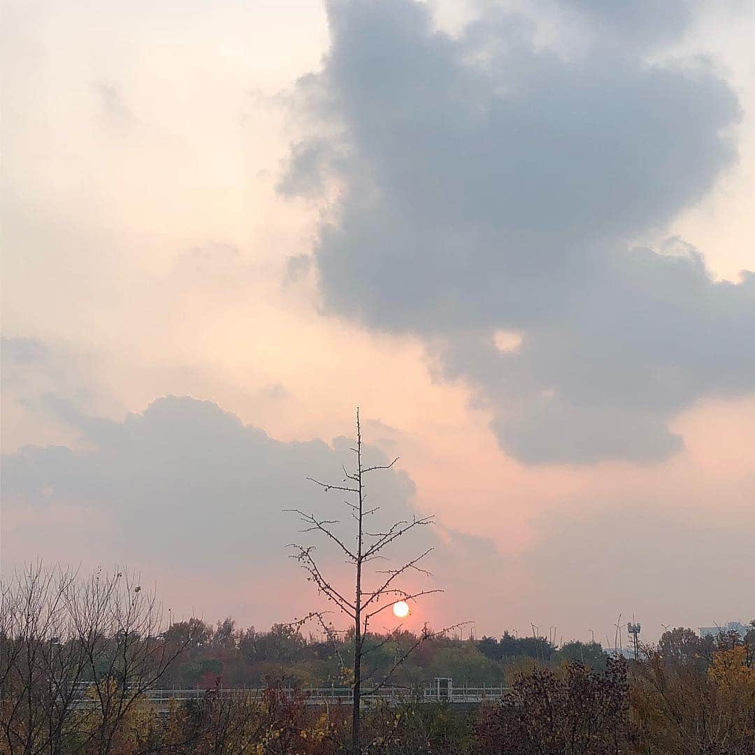 チェ・リのインスタグラム：「#서울숲 (해바라기 김은영이) #🌞❣️」