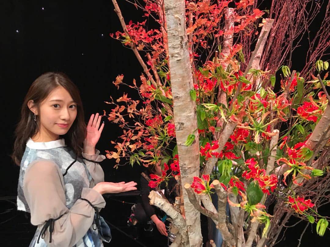 ミュージックステーションのインスタグラム