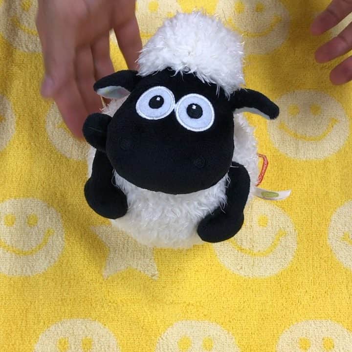 NICI JAPANのインスタグラム