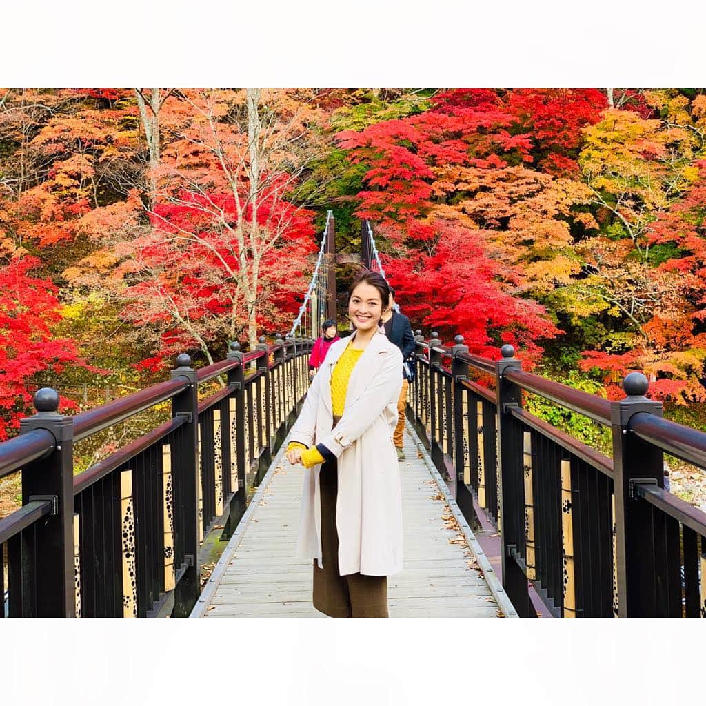 福田典子さんのインスタグラム写真 - (福田典子Instagram)「昨日のよじごじの紅葉リレー中継は、栃木・那須塩原からお送りしました！ 温泉地ということで足湯も堪能してきちゃいました！ くれない橋の燃えるような紅葉と黄色やオレンジとのグラデーションが見事でした🍁 来週も紅葉中継をお届けしますので、ぜひお楽しみに！ . そして、今夜はSPORTSウォッチャー！ ぜひご覧ください🐣💓 . #平成最後の秋 #平成最後の紅葉 #紅葉 #紅葉狩り #秋 #autumn」11月9日 21時42分 - norikofukuda212