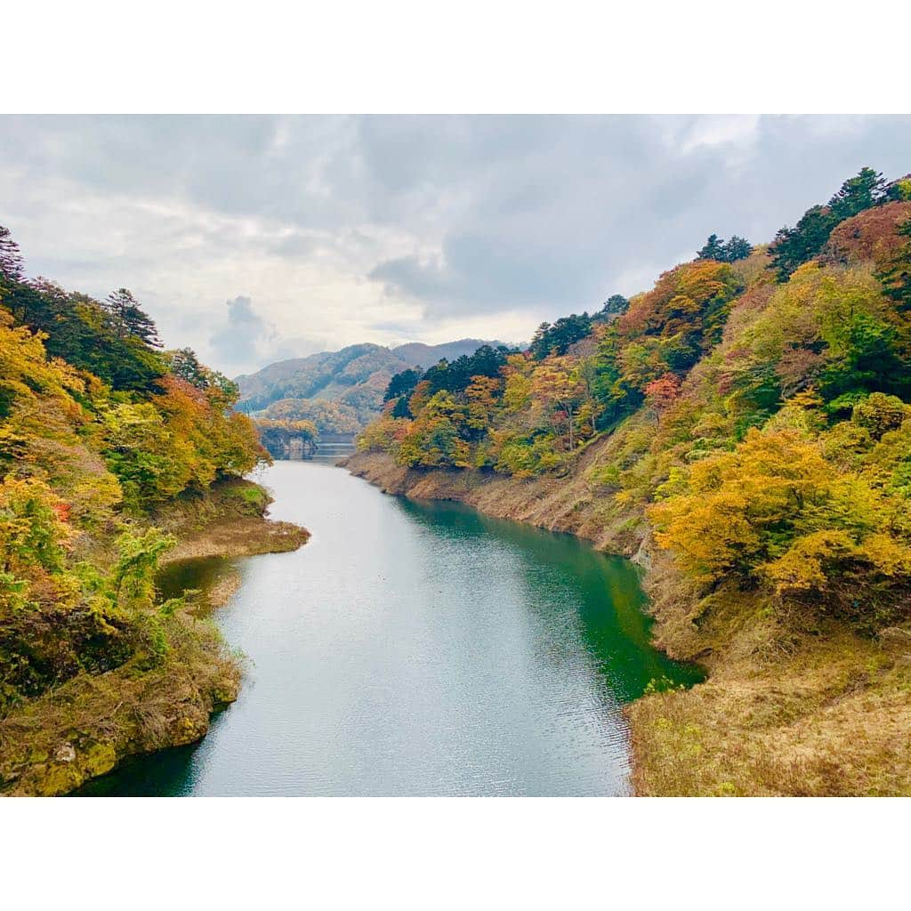 福田典子さんのインスタグラム写真 - (福田典子Instagram)「昨日のよじごじの紅葉リレー中継は、栃木・那須塩原からお送りしました！ 温泉地ということで足湯も堪能してきちゃいました！ くれない橋の燃えるような紅葉と黄色やオレンジとのグラデーションが見事でした🍁 来週も紅葉中継をお届けしますので、ぜひお楽しみに！ . そして、今夜はSPORTSウォッチャー！ ぜひご覧ください🐣💓 . #平成最後の秋 #平成最後の紅葉 #紅葉 #紅葉狩り #秋 #autumn」11月9日 21時42分 - norikofukuda212