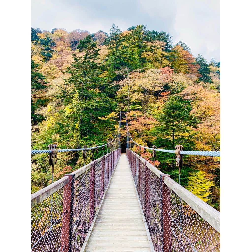 福田典子さんのインスタグラム写真 - (福田典子Instagram)「昨日のよじごじの紅葉リレー中継は、栃木・那須塩原からお送りしました！ 温泉地ということで足湯も堪能してきちゃいました！ くれない橋の燃えるような紅葉と黄色やオレンジとのグラデーションが見事でした🍁 来週も紅葉中継をお届けしますので、ぜひお楽しみに！ . そして、今夜はSPORTSウォッチャー！ ぜひご覧ください🐣💓 . #平成最後の秋 #平成最後の紅葉 #紅葉 #紅葉狩り #秋 #autumn」11月9日 21時42分 - norikofukuda212