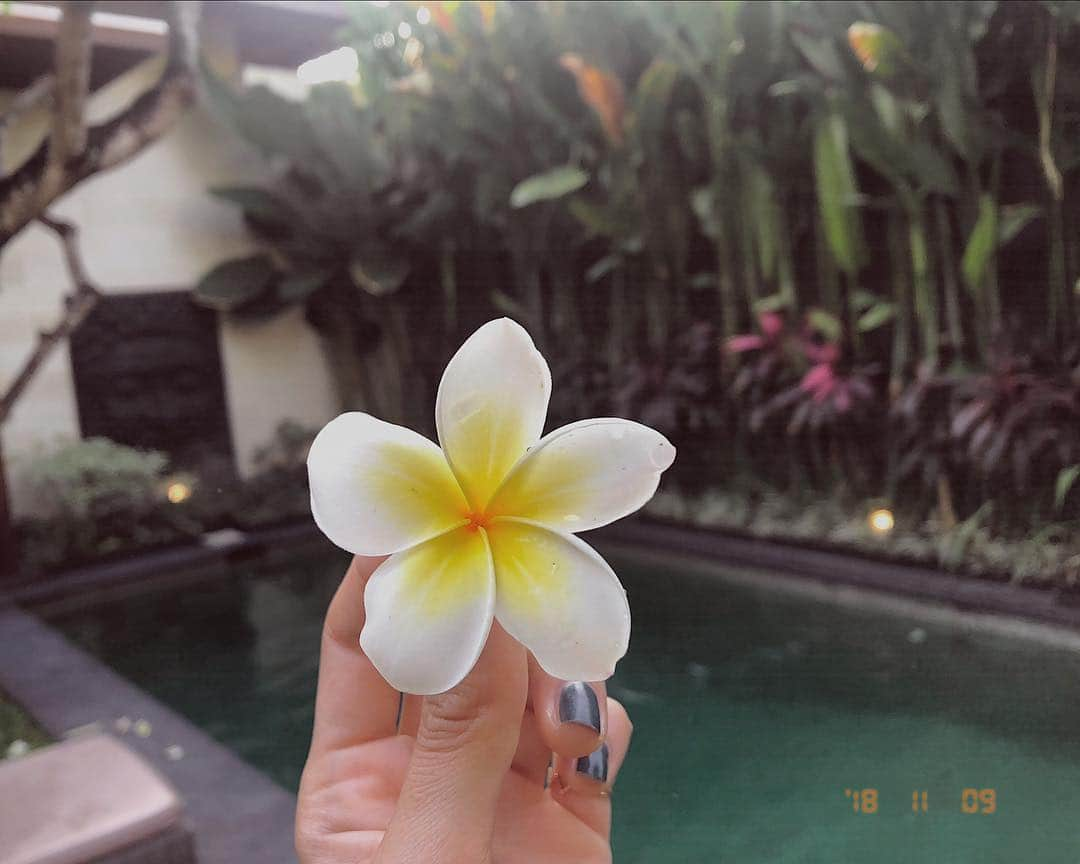 松本瞳さんのインスタグラム写真 - (松本瞳Instagram)「. 初めてのバリ🌼 . #bali #indonesia」11月9日 22時04分 - hitomi.mats