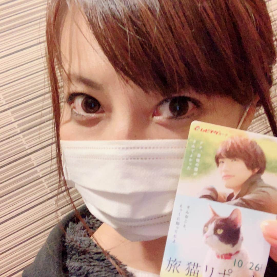 前田友理香さんのインスタグラム写真 - (前田友理香Instagram)「今週は、心身共にバタついてしまったので・・・。 映画見てリラックス！！ 「旅猫リポート！」を見てきました👀  ずっと泣きっぱなし。 今まで見てきた映画で一番泣いた。 タイタニックより泣いた！！ 人生で一番好きな映画になったカモ！！ 私の愛猫のなななのことを思ってしまった！！！！ 私にもし何かあったら、彼女はどう思うんだろ？？？？ 彼女のことを考えるだけで、胸がいっぱいになります。  猫はペットじゃない！家族です！  ナナとさとるの旅から色んな家族愛、友情が見れます。 役者さん、作り手さんの気持ちがこもりにこもった作品になっていて、ペットを飼っていない人でも見るべき作品！！！！！ ※写真は泣いちゃうと思って・・・先に撮りました。あと、うちの子、写真撮るとエロい顔するんだよねぇ♡  なんか、あたしらしくないので・・・。 福士蒼汰くんがかわいすぎるっ！！！！ #旅猫リポート #映画  #名作 #猫 #皆さんもご覧あれ #大号泣 #力説しすぎ」11月9日 23時39分 - yurikamaeda