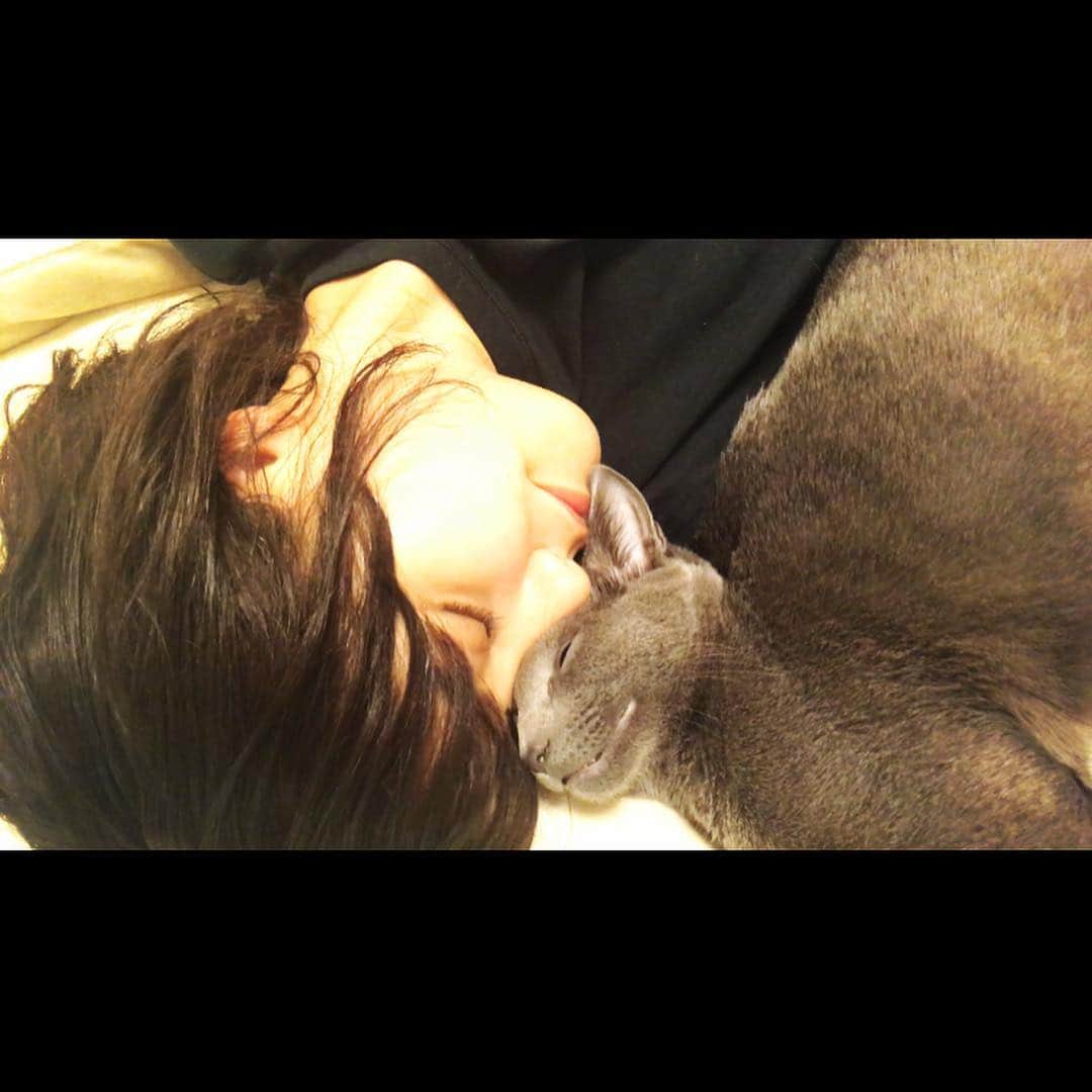 山崎紘菜さんのインスタグラム写真 - (山崎紘菜Instagram)「🐈 最近寒いから一緒に寝てくれるらしい。 #今日は一日濃かったなぁ。 #おやすみ」11月9日 23時55分 - hirona_yamazaki